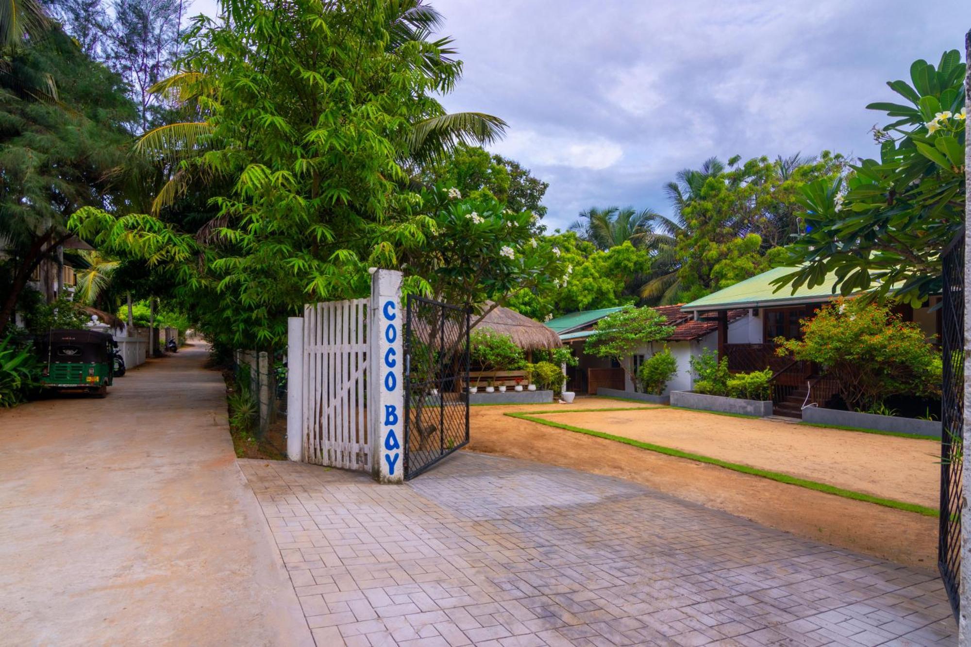 ホテル Arugambay Coco Bay アルガムベイ エクステリア 写真