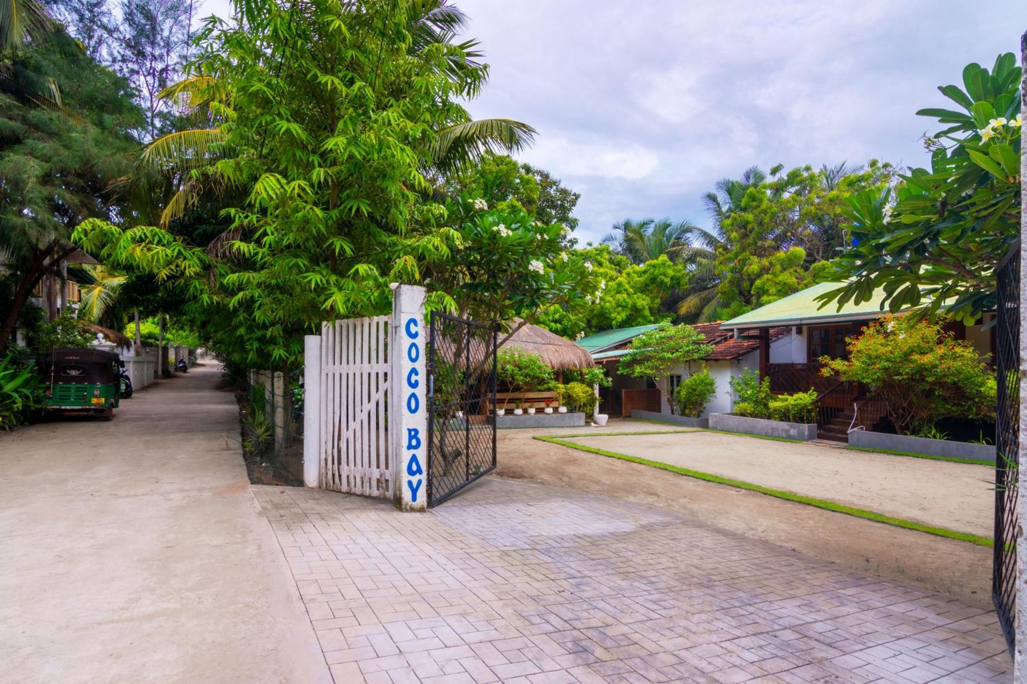 ホテル Arugambay Coco Bay アルガムベイ 部屋 写真